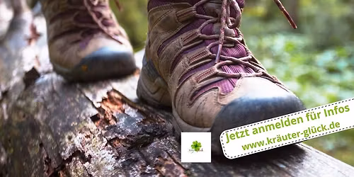 Kr\u00e4uterspaziergang - die kleine Wildkr\u00e4uterapotheke