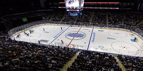 Jacksonville IceMen vs. Greenville Swamp Rabbits
