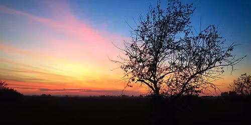 Darules a szegedi Feh\u00e9r-t\u00f3n\u00e1l 11.16.