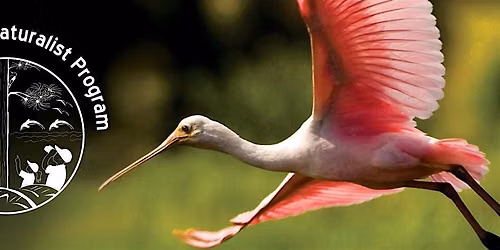 Florida Master Naturalist Program Environmental Interpretation Info Page