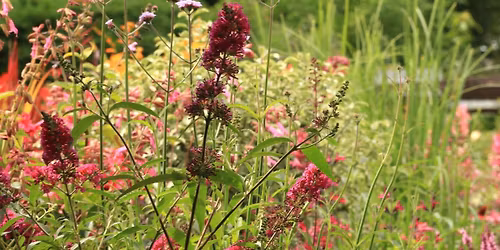 Autumn Colour \u2013 combinations to inspire with Jacky and Julia