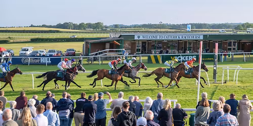 Afternoon Flat Racing