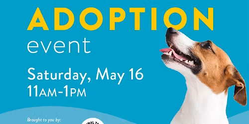 Dog adoption event
