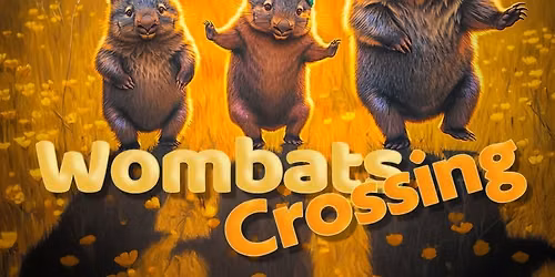 Wombats Crossing in concert