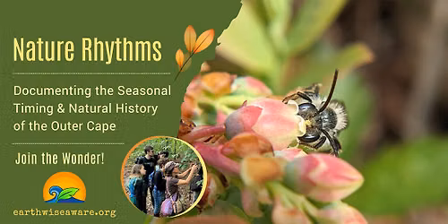 Nature Rhythms \u29fd Tracking Plants and Wildlife in a Changing Climate