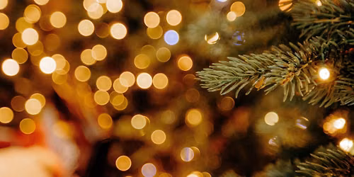 Christmas trail in the Park