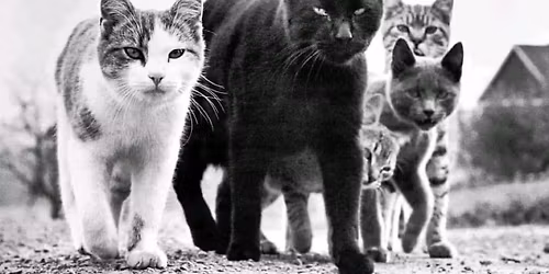 Parkside Lounge, Pittsfield, MA