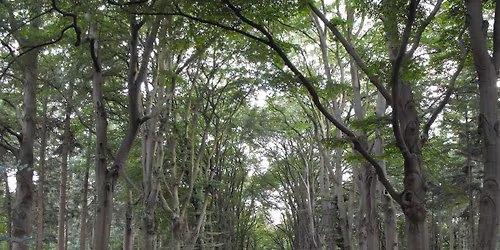 Lezing Noorwegen door Jan van der Geld