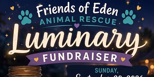 Luminary Fundraiser