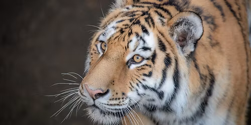 Winter Discount Days