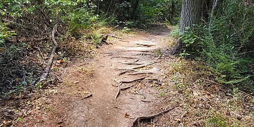 Guided Hike!