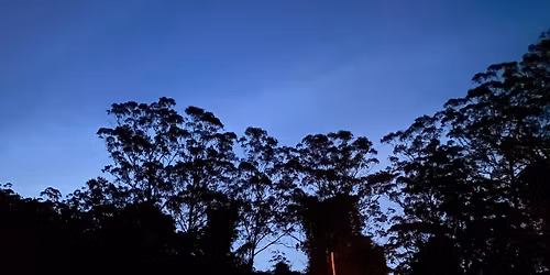 Earth Skills Gathering