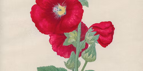 S\u00e5dan k\u00e4rlek till blommor