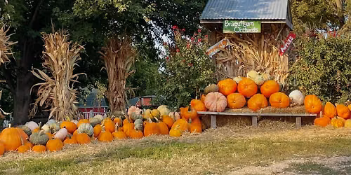 2026 Pumpkin Fest \ud83c\udf83