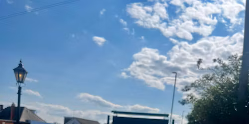 A Pawfect Christmas \ud83d\udc3e