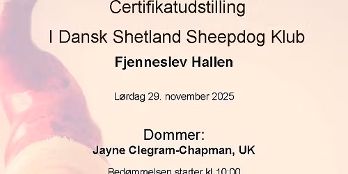 Certifikat udstilling Fjenneslev