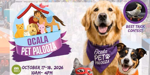 Shelter Dog Adoptions at Ocala Pet Palooza 