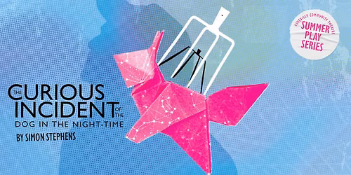 Auditions: The Curious Incident of the Dog in the Night-Time