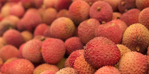 Apotheke Academy - MARKET FRESH