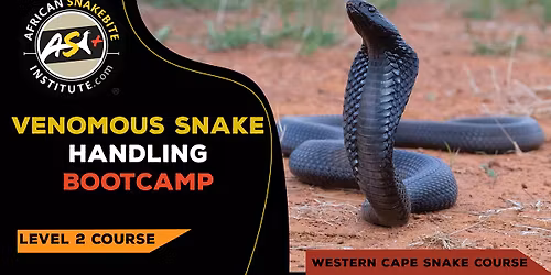Venomous Snake Handling Bootcamp