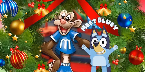 Bluey & Friends Holiday Bash - Ages 3 & Under