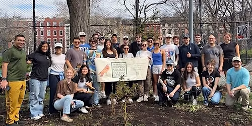 Mid Spring Cleanup and Planting in Tompkins Square Park
