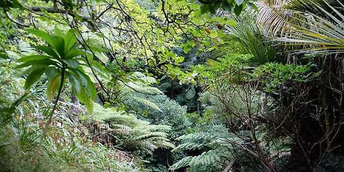 Water, wind and wood \u2013 music in the garden - Guided Walk