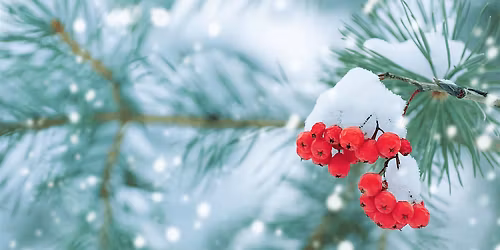 Meditative Mall Walking & Coffee