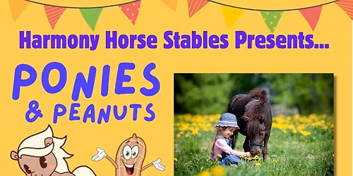 Ponies & Peanuts: a unique pony experience for your little one!