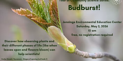  Budburst: Tracking Blooms and More for Science!