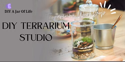Diy Terrarium Studio