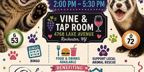 Charity Bingo for Animals