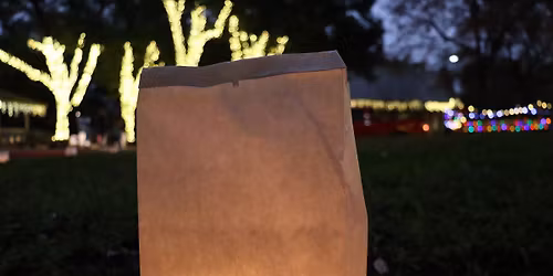 Luminary Festival: Night Two