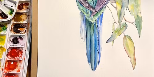 Watercolour Workshop: Native Birds