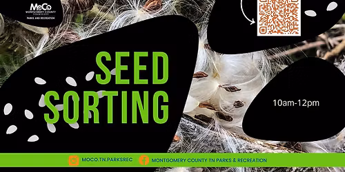 Seed Sorting, Volunteer Opportunity