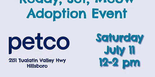 Ready, Set, Meow Kittens & Cats Adoption Event at Petco