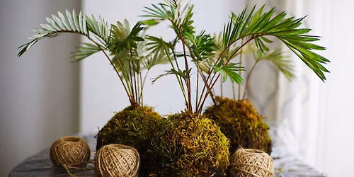 Kokedama Centerpiece Workshop