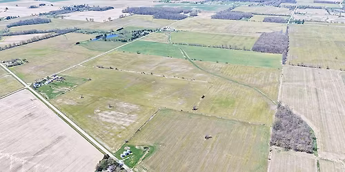 David T. Taylor Estate
