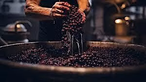 Urban Winemaker's Forum