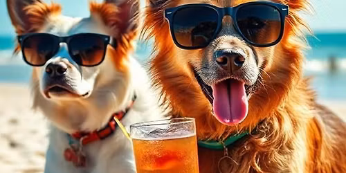 II. Hoopers Summer Camp 