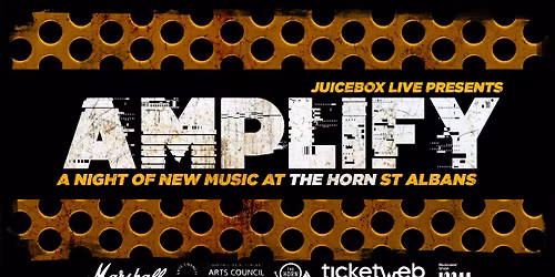 Diverse FX \/ Steve Young & The Realtime Players\/ Calico Palace\/ The Lime Stones| The Horn, St Albans