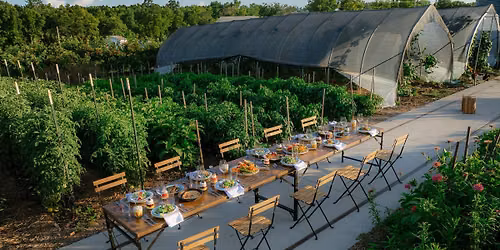 Cob to Table: Dinner on The Farm