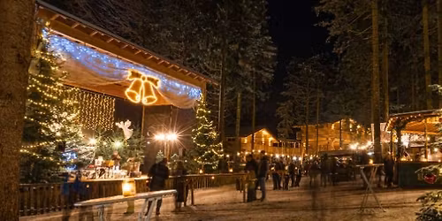 Waldweihnacht am Baumkronenweg 3. Adventwochenende