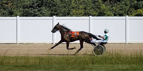 Friday (Before Fair) - Harness Racing