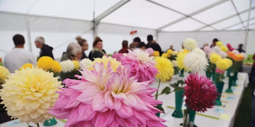 Harrogate Flower Show