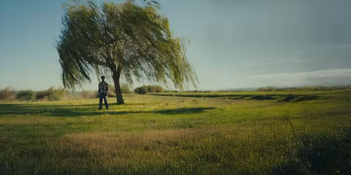 Papillon, Passi, Sinik in Brest