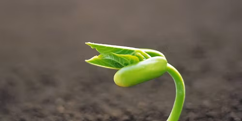 Begin Again: An Open Floor Movement Workshop with Stacey Butcher