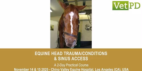 VetPD Course - Equine Head Trauma\/Conditions & Sinus Access