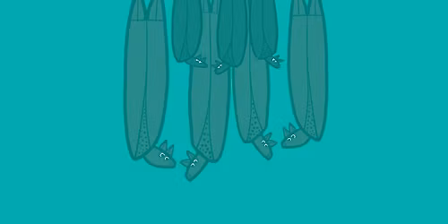 School Holiday Storytime