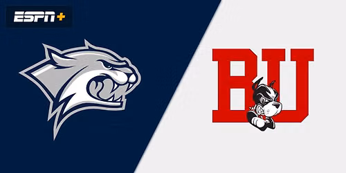 Stony Brook Seawolves at Liberty Flames Mens Hockey
